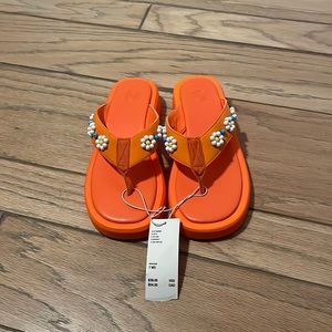 never worn flip flops!